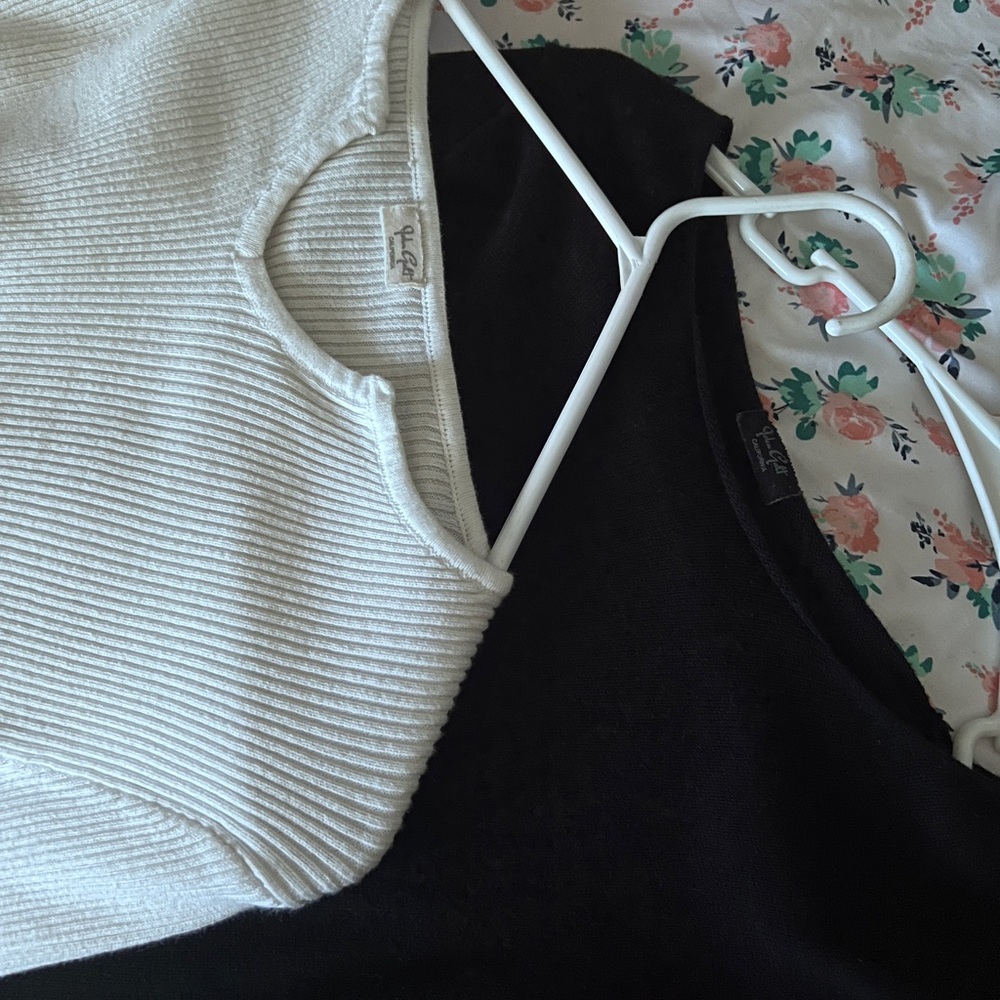 Brandy Melville two sweaters.